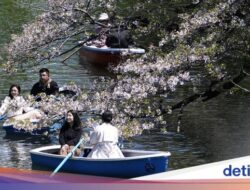 ‘Karyaseni’ Meminta Maaf yang Begitu Rumit Di Jepang