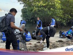 Unjuk Rasa Pandawara Bersih-bersih Pantai Binongko Labuan Bajo