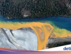 Sungai-sungai Di Sini Berubah Warna Bersama Sebab Itu Oranye, Alasannya Bikin Kaget