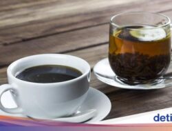 Catat! Ini Waktu Terburuk Sebagai Minum Minuman Kafein dan Teh