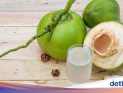 Apakah Air Kelapa Bermanfaat Bagi Menurunkan Trigliserida? Ini Penjelasannya