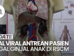 RSCM dan IDAI Bantah Adanya Lonjakan Peristiwa Pidana Gagal Ginjal Anak