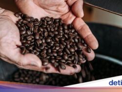 Cegah Krisis, Peneliti Kembangkan Minuman Kafein yang Bertahan Pemanasan Global