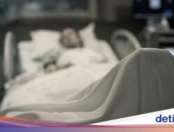 Geger Brasil Catat Kematian Pertama Mikroba Oropouche Di Dunia, Tertular Didalam Mana?