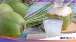 5 Manfaat Minum Air Kelapa Setiap Hari, Ini yang Berencana Terjadi Di Tubuh