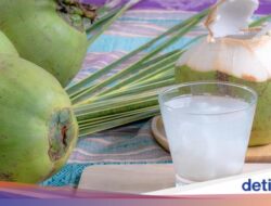 5 Manfaat Minum Air Kelapa Setiap Hari, Ini yang Berencana Terjadi Di Tubuh