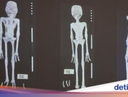 Perdebatan ‘Mumi Alien’ Ke Peru, Sidik Jarinya Disebut Tak Cocok Di Manusia