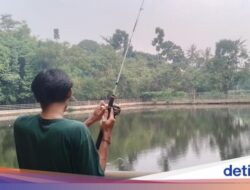 Potret Hutan Kota Munjul, Spot Unjuk Warga Buat Mancing-Refreshing