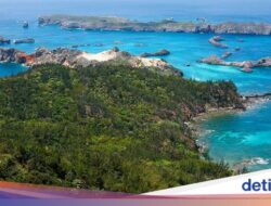 Seru! Jepang Berencana Gelar Event Petak Umpet Hingga Pulau Tak Berpenghuni