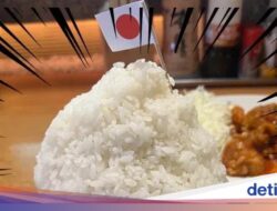 Waspada! Ini 5 Efek Samping Kebanyakan Makan Nasi Putih