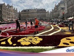 Pecinta Bunga Harus Datang Sih Di Belgia, Ada ‘Karpet Bunga Raksasa’