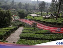 Cable Car Solusi Pengurai Macet Di Kawasan Puncak, Kapan Akansegera Dibangun?