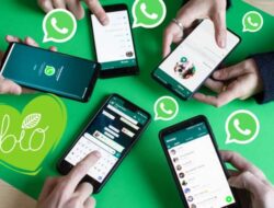 Cara Sadap WhatsApp hanya Di Nomor HP Tanpa Inisiatif