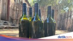 Unik! Bukan Di Anggur, Wine Ini Dibuat Di Pisang