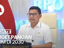 Video: Kepala BPOM Bicara Target Keselamatan Ketahanan Pangan Di 2030