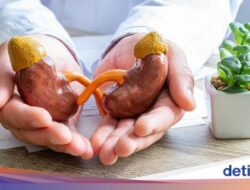 IDAI Sebut Anak Bersama Diabetes Lebih Rentan Terkena Gagal Ginjal, Ini Alasannya