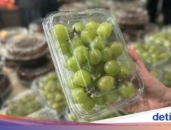 Bapanas Uji Cepat Residu Pestisida Anggur Shine Muscat Perdagangan Masuk Negeri, Ini Hasilnya