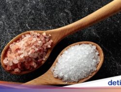 Garam Himalaya Vs Garam Perabot, Ini Ciri-ciri dan Manfaatnya