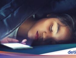 Bahaya Tidur Didekat HP, Benarkah Meningkatkan Risiko Kanker? Ini Penjelasannya