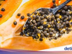 Biji Pepaya Ternyata Bisa Dimakan, Ini Manfaatnya Untuk Kesejaganan