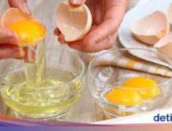 5 Manfaat Putih Telur Sebagai Kesejajaran, Betulan Manjur Pangkas BB Pada Asupan Konsumsi?