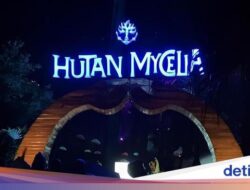 Hutan Mycelia, Negeri Dongeng Untuk Bandung Di Malam Tiba