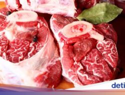 Pria Ini Jalani Pola Makan Karnivora, Kadar Kolesterolnya Meroket Hingga Angka 1.000