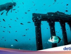 Betapa Kerennya Museum Bawah Air Di Turki, Punya 117 Koleksi