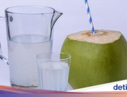 Air Kelapa Muda Bisa Cegah Dehidrasi Pada Puasa, Baik Diminum Kapan?