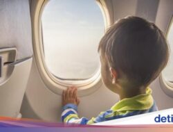 Duh! Pramugari Ini Keliru Berikan Wine Hingga Bocah 3 Tahun