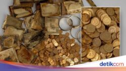 Pendaki Temukan 2 Kardus Harta Karun